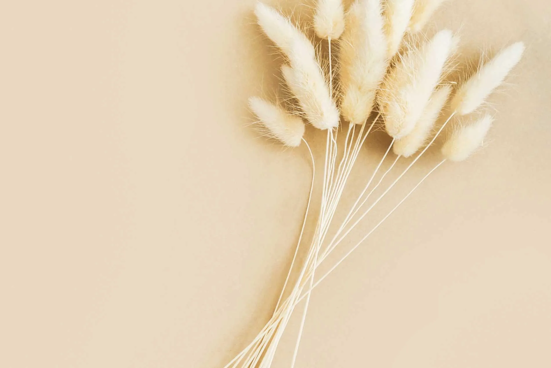salon de coiffure gujan mestras - ell'hair naturel hairborist